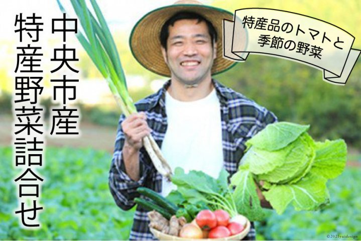 中央市産特産野菜詰合せ　クチコミで探すならふるさと納税ニッポン！