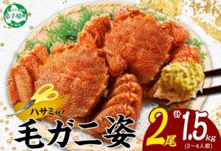 3336.毛蟹 2尾 計1.5kg前後 食べ方ガイド・専用ハサミ付 カニ かに 蟹 海鮮 ボイル 送料無料 北海道 弟子屈町