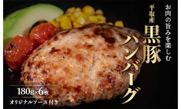 平取産黒豚ハンバーグ180ｇ6枚　オリジナルソース付 BRTB029