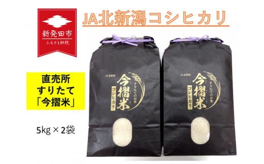 令和5年産 JA北新潟 特別栽培米コシヒカリ 5㎏×2袋 今摺米 【 新潟県産