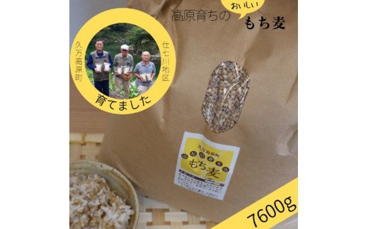 仕七川育ちのもち麦 7,600g】清流と綺麗な土が育て、イナキ干しで仕上げた美味しいもち麦※着日指定不可 | クチコミで探すならふるさと納税ニッポン！