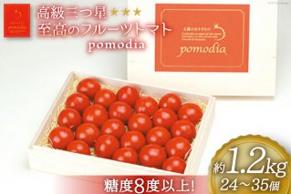 高級 三つ星 至高のフルーツトマト pomodia ポモディア 約1.2kg（24～35個）/ 農事組合法人 た・から / 山梨県 中央市