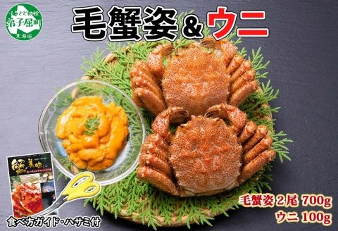 1374. 毛蟹 2尾 計700g前後 うに チリ産 冷凍 100g 専用ハサミ・食べ方