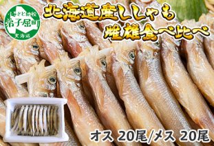1316. ししゃも 雌雄 食べ比べ セット 40尾 シシャモ 海鮮 魚介 北海道 弟子屈町