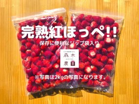 【10月より寄附金額見直し予定】060-11　完熟冷凍いちご2kg以上！森木農園が育てる、濃く甘いちご『紅ほっぺ』