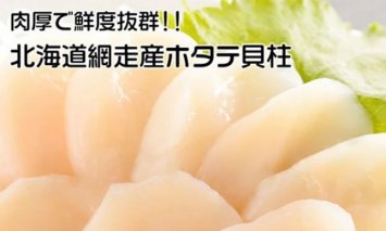 【定期便】全3回（毎月）北海道 網走産 冷凍ほたて貝柱 500g ホタテ◇