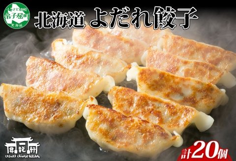 1810. よだれ餃子 10個入 2パック 計20個 餃子 ぎょうざ ギョウザ