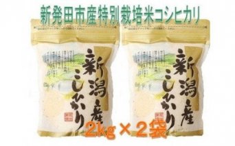 D31 新潟県新発田市産特別栽培米コシヒカリ(2kg×2袋)