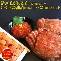 うに 北海道 海産物 ＜オホーツク海の流氷明け＞活〆毛がに2尾（合計約1kg）＆いくら醤油漬（250g）＆うに（1折　50g）セット（網走加工）