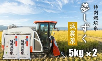 B165-004 特別栽培米 「減農薬」夢しずく（5㎏×２）しもむら農園