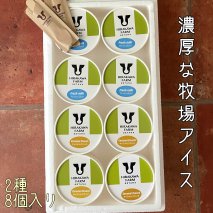 【北海道産搾りたて生乳使用】ひらかわ牧場のアイスクリーム おすすめ2種8個セット フレッシュミルク キャラメルクランチ デザート スイーツ お取り寄せ ギフト せたな町 ふるさと納税