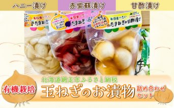 有機栽培玉ねぎのお漬物詰め合わせセット（網走加工）  ABAA001