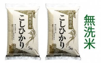 お礼の品を探す | クチコミで探すならふるさと納税ニッポン！