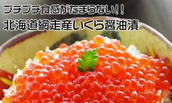 【定期便】全3回（毎月）北海道 網走産 冷凍いくら醤油漬 500g ■