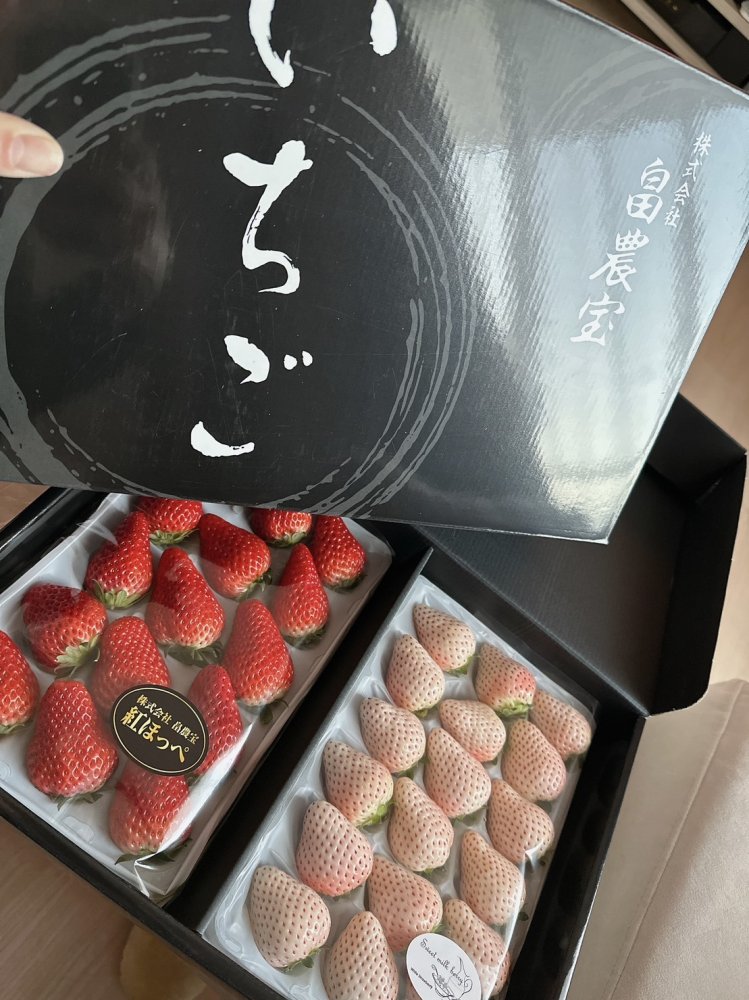 味のふるさと　第一期全24巻セット 楽天市場】【ふるさと納税】高評価☆4.5 北海道産 干物 セット