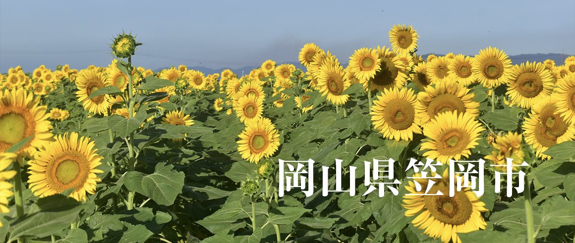 岡山県笠岡市（かさおかし）