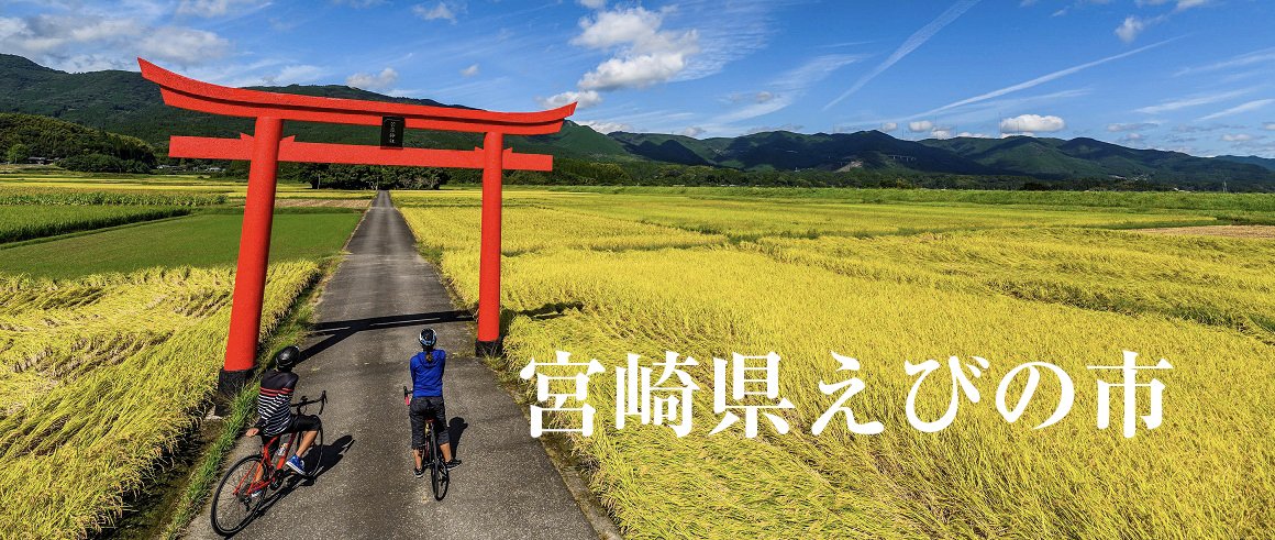 宮崎県えびの市（えびのし）