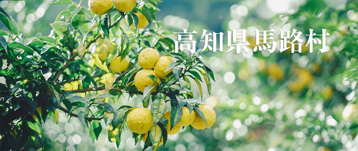 高知県馬路村（うまじむら）