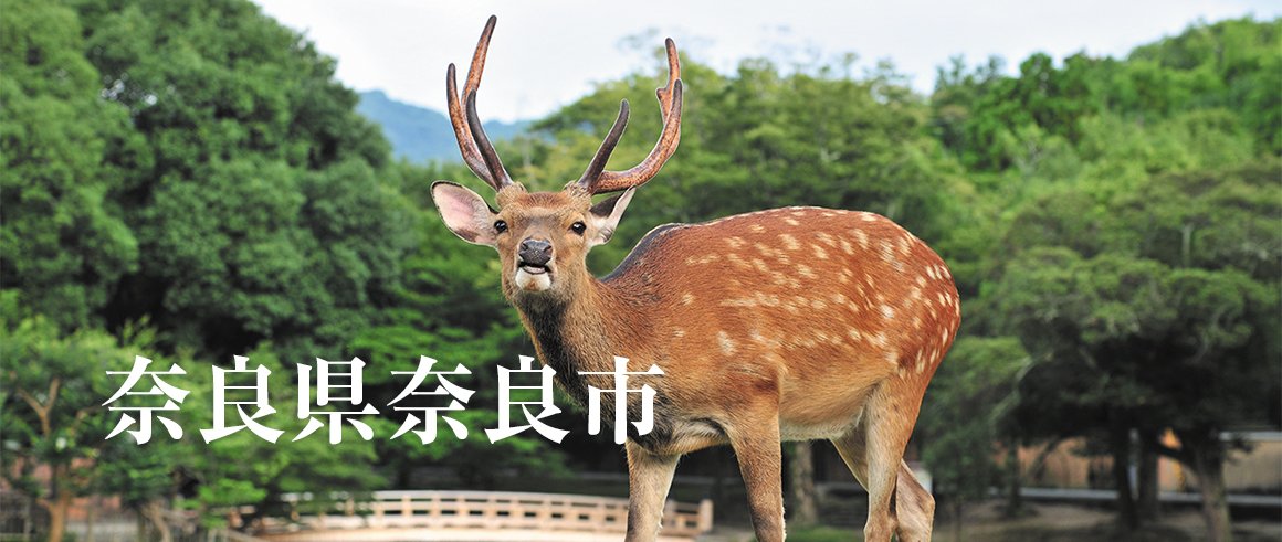 奈良県奈良市（ならし）
